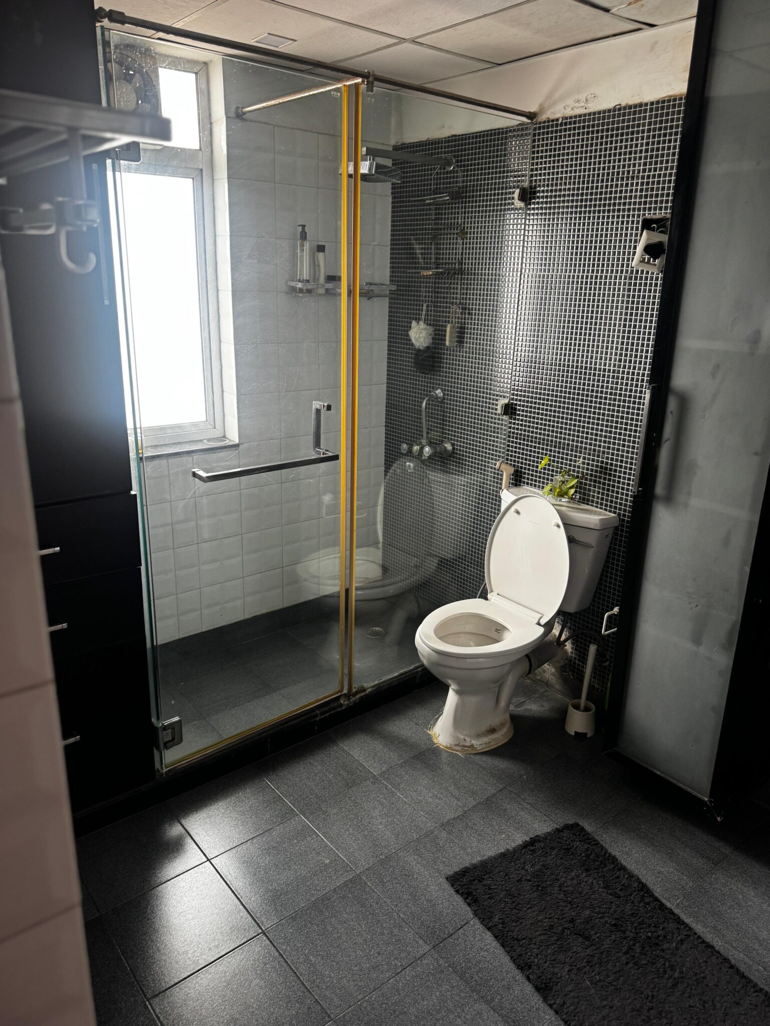 WhatsApp Image 2026-03-31 at 11.54.20 AM