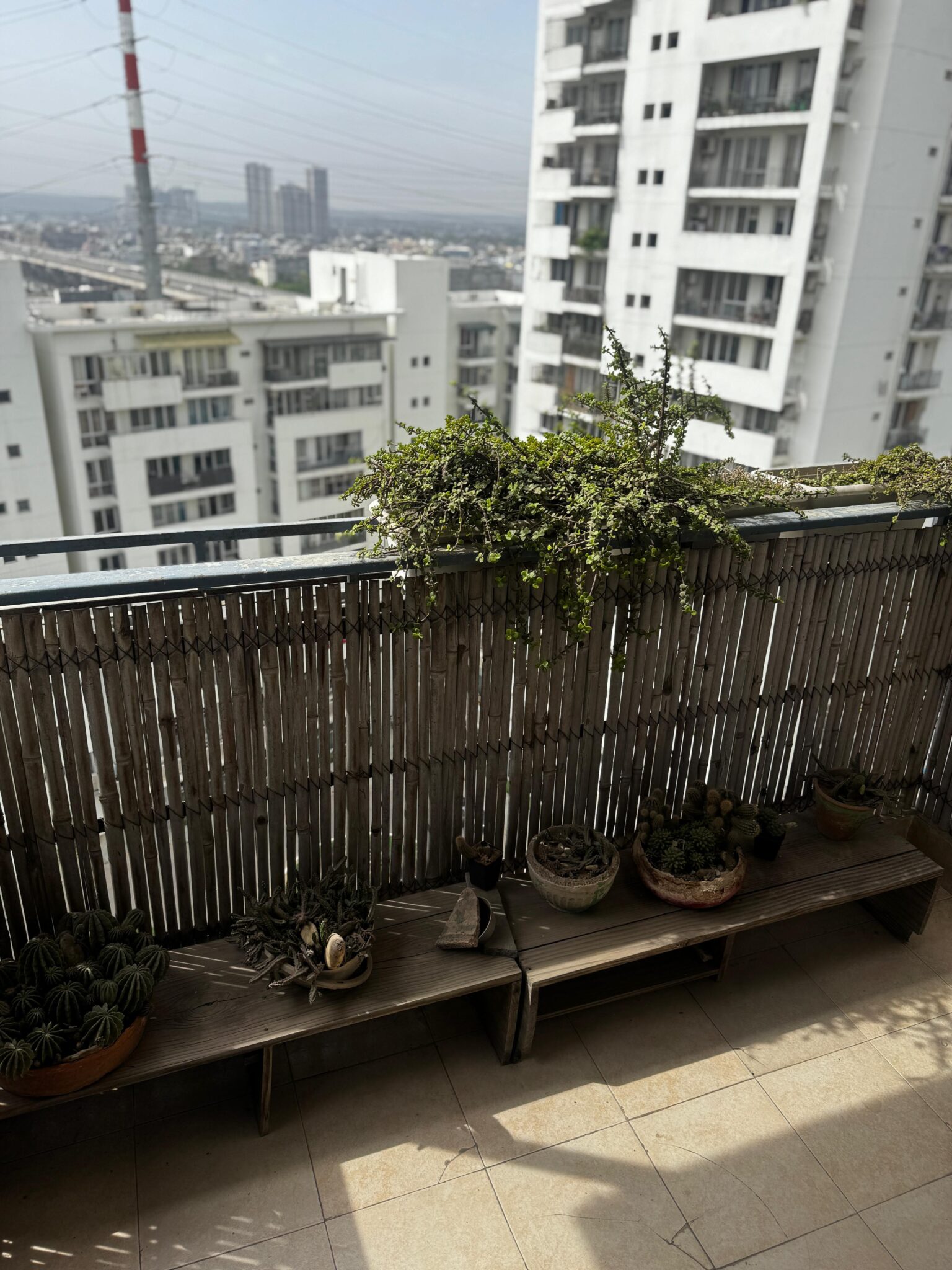 WhatsApp Image 2026-03-31 at 11.54.21 AM