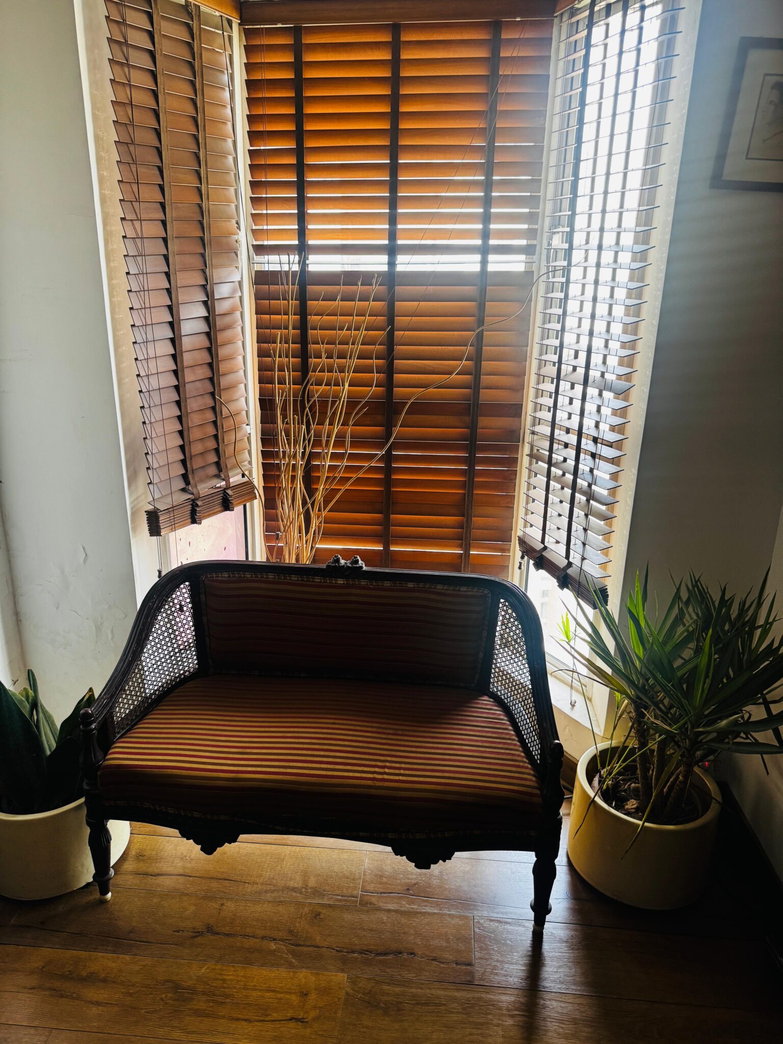 WhatsApp Image 2026-03-31 at 11.54.26 AM (1)